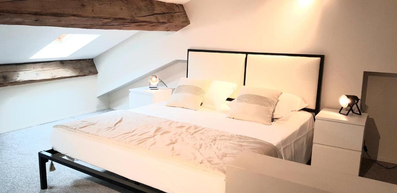 Loft Chic Appartement Carcassonne Buitenkant foto